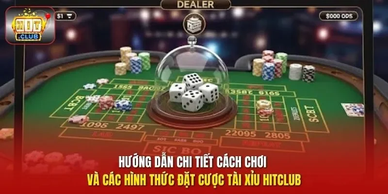 Hướng dẫn chi tiết cách chơi và các hình thức đặt cược tài xỉu HitClub